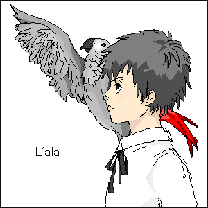 ザンザスとヨウム